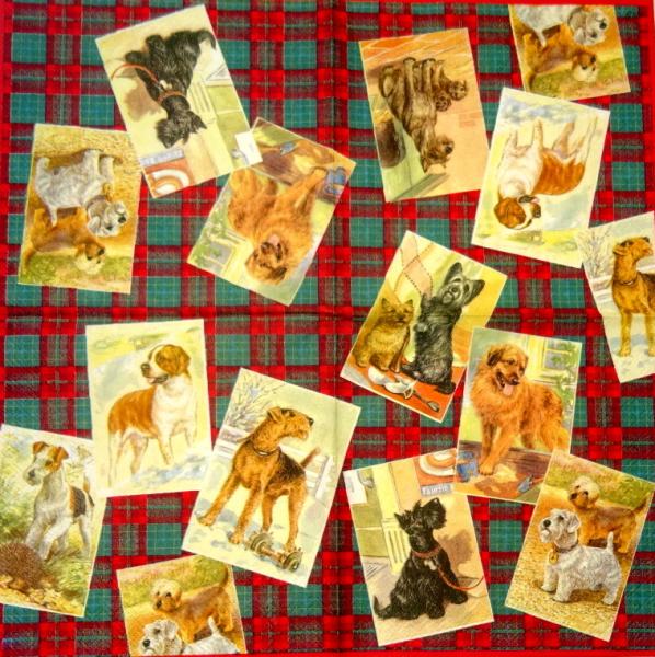 106 Hunde - 3-lagig (rot) - Ihr